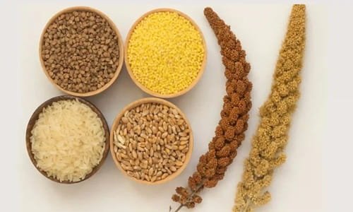 10 Best Millet Snacks for Weight Loss