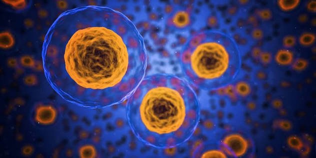Cancer Treatment Options: Surgery, Chemotherapy, Radiation, Immunotherapy and More
